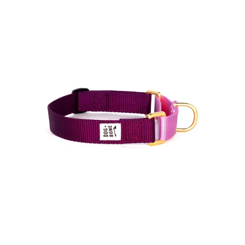 Dog + Bone Martingale Collar - Image 48