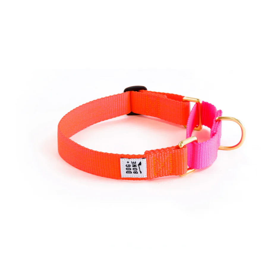 Dog + Bone Martingale Collar - Image 5