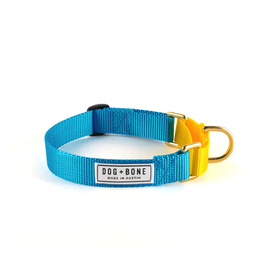 Dog + Bone Martingale Collar - Image 52