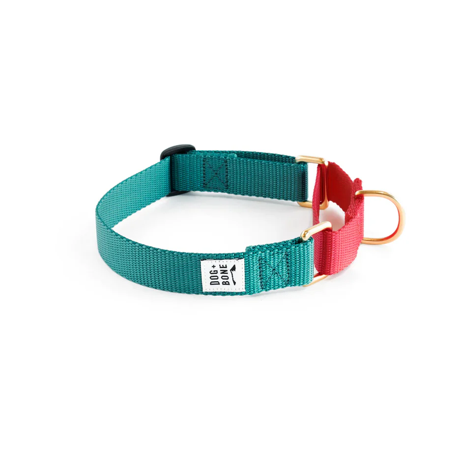 Dog + Bone Martingale Collar - Image 8