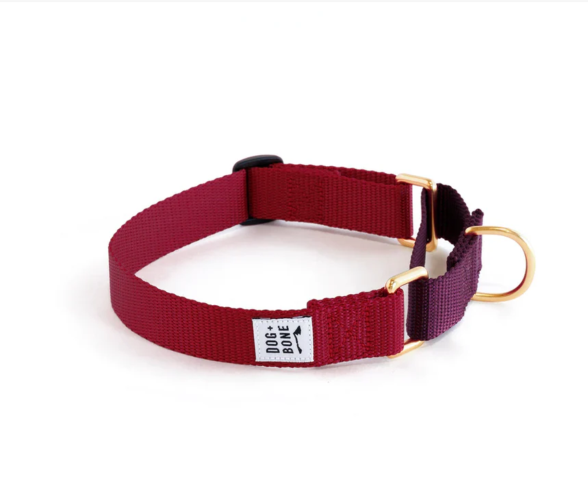 Dog + Bone Martingale Collar - Image 9