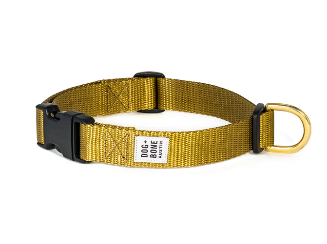 Dog + Bone Snap Collar - Image 13