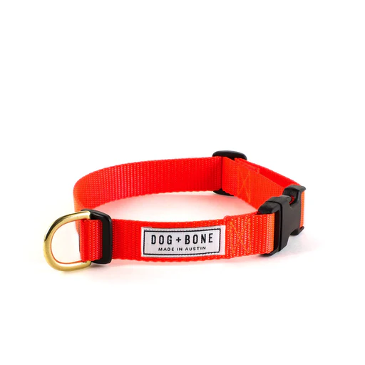 Dog + Bone Snap Collar - Image 21