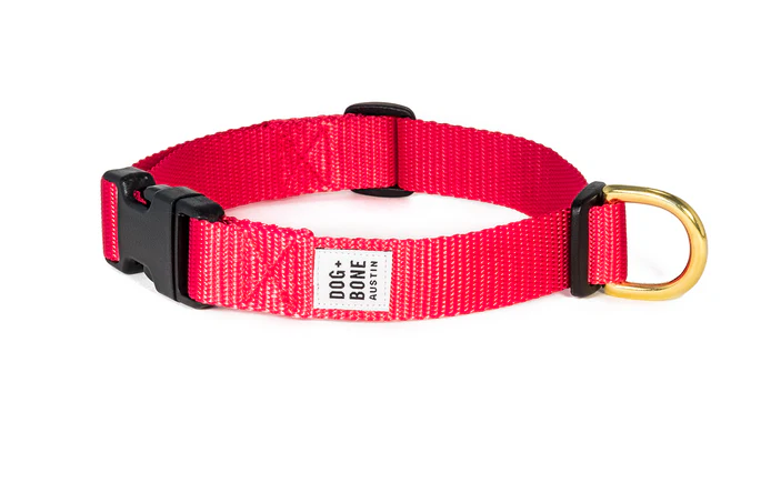 Dog + Bone Snap Collar - Image 44