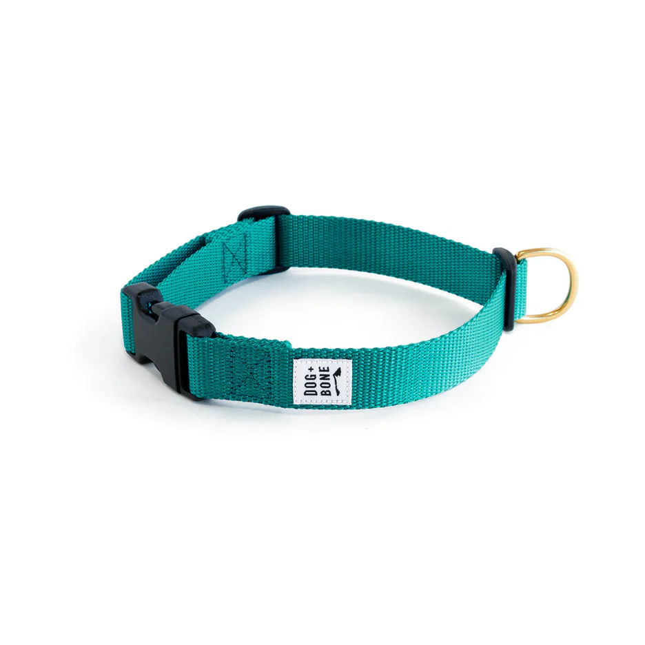 Dog + Bone Snap Collar - Image 6