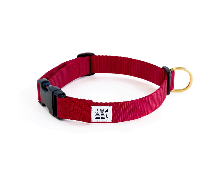 Dog + Bone Snap Collar - Image 7