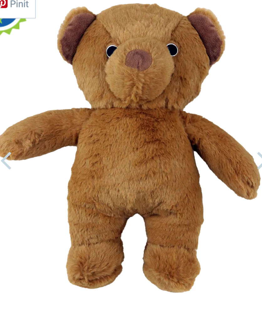 Dog Star Roosevelt the Bear - Image 2