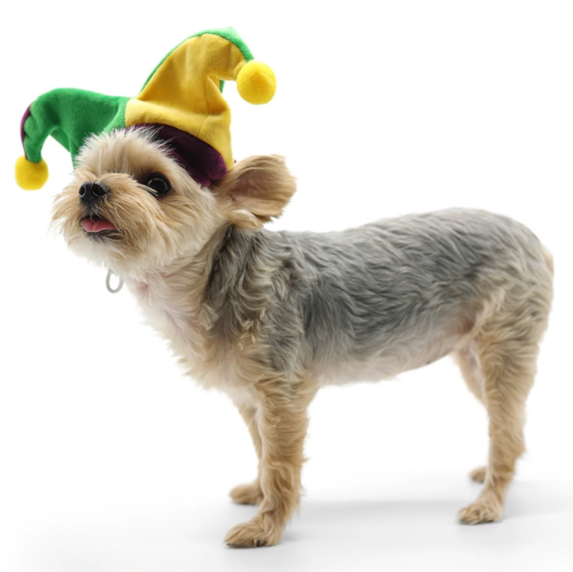 DOGO Designs Joker Hat - Image 3