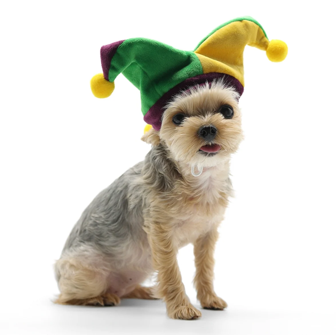 DOGO Designs Joker Hat - Image 4