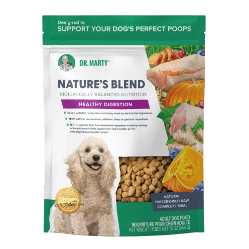 Dr. Marty Natures Blend Healthy Digestion - Image 3