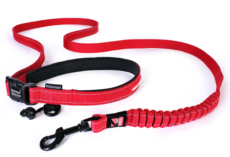 EzyDog Road Runner Leash - Image 13