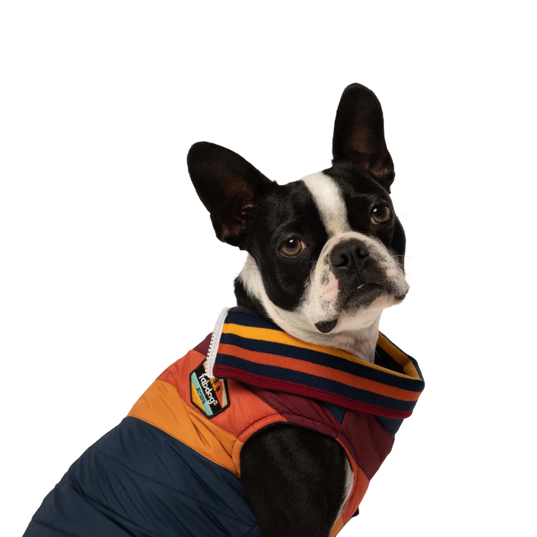 Fabdog Chevron Jacket - Image 8