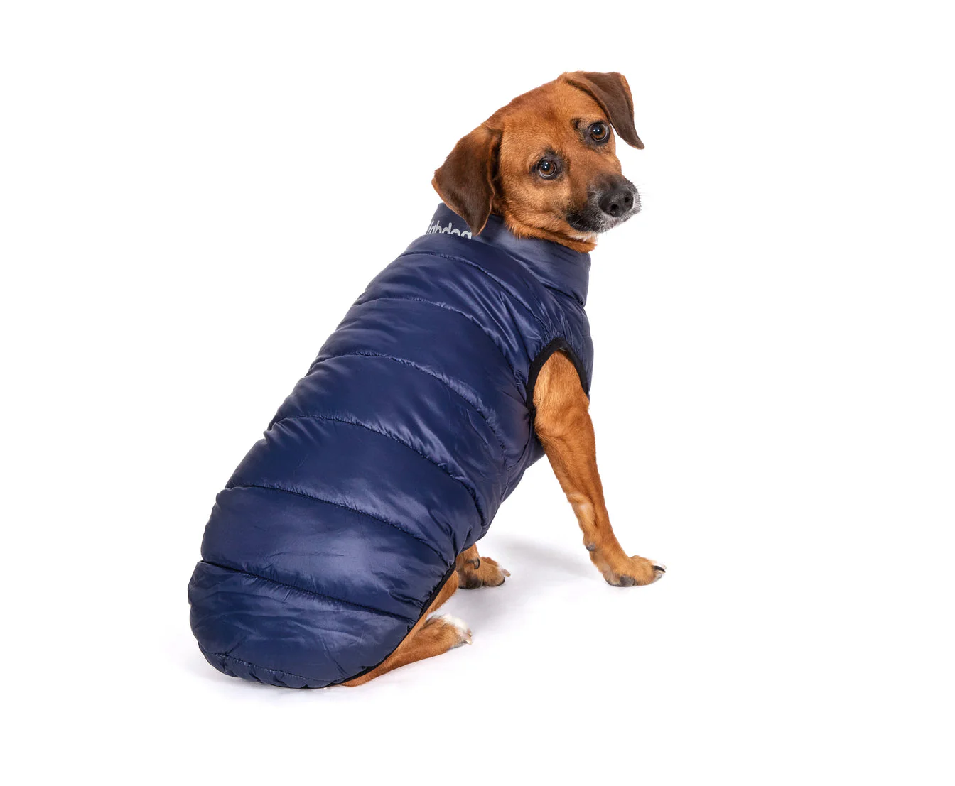 Fabdog Pack N Go Reversible Combo Puffer Jacket - Image 5