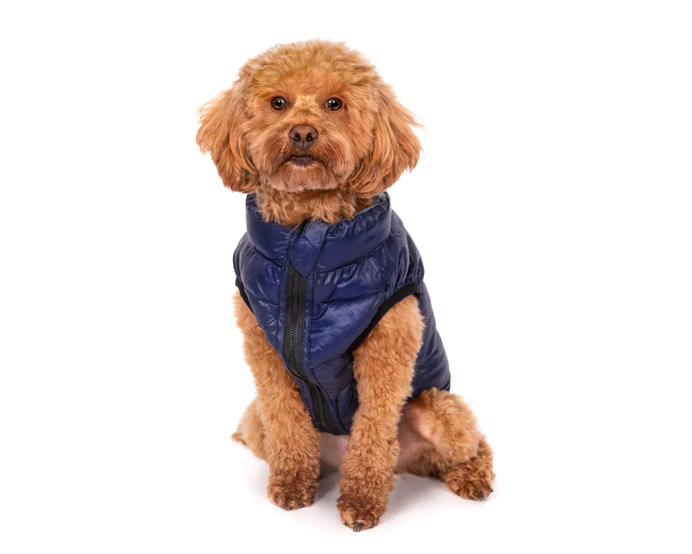Fabdog Pack N Go Reversible Combo Puffer Jacket - Image 6