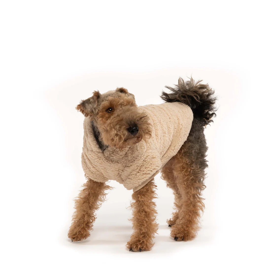 Fabdog Sherpa Hoodie - Image 2