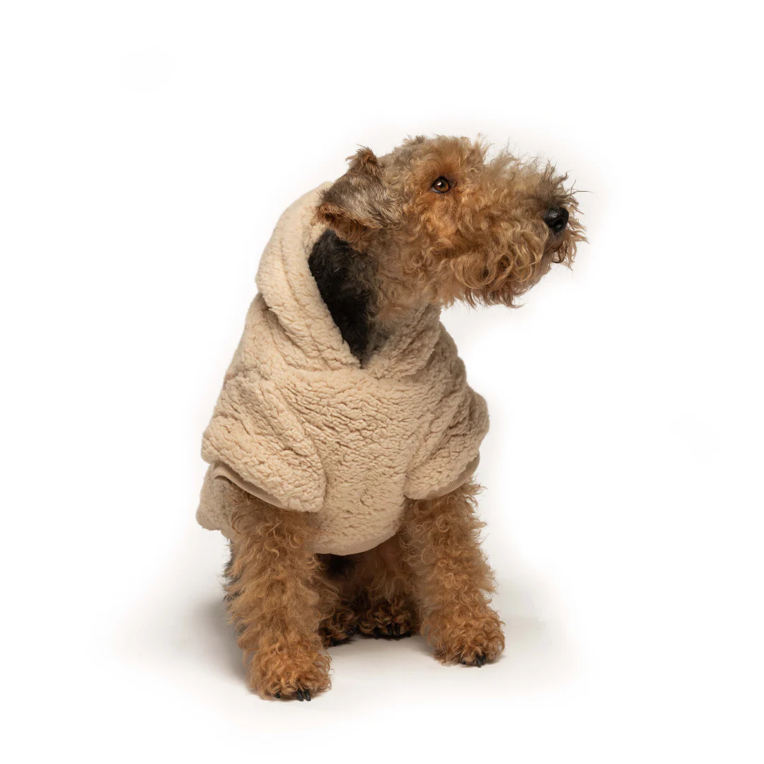 Fabdog Sherpa Hoodie - Image 3