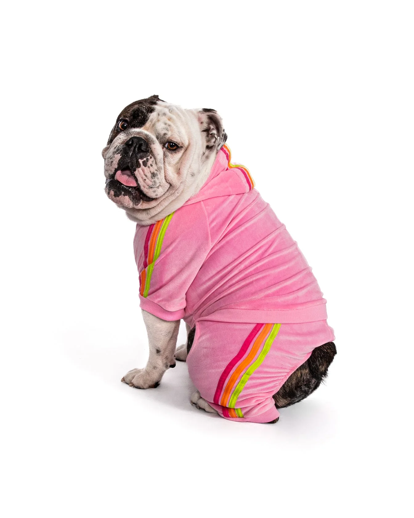 Fabdog Velour Joggers - Image 11