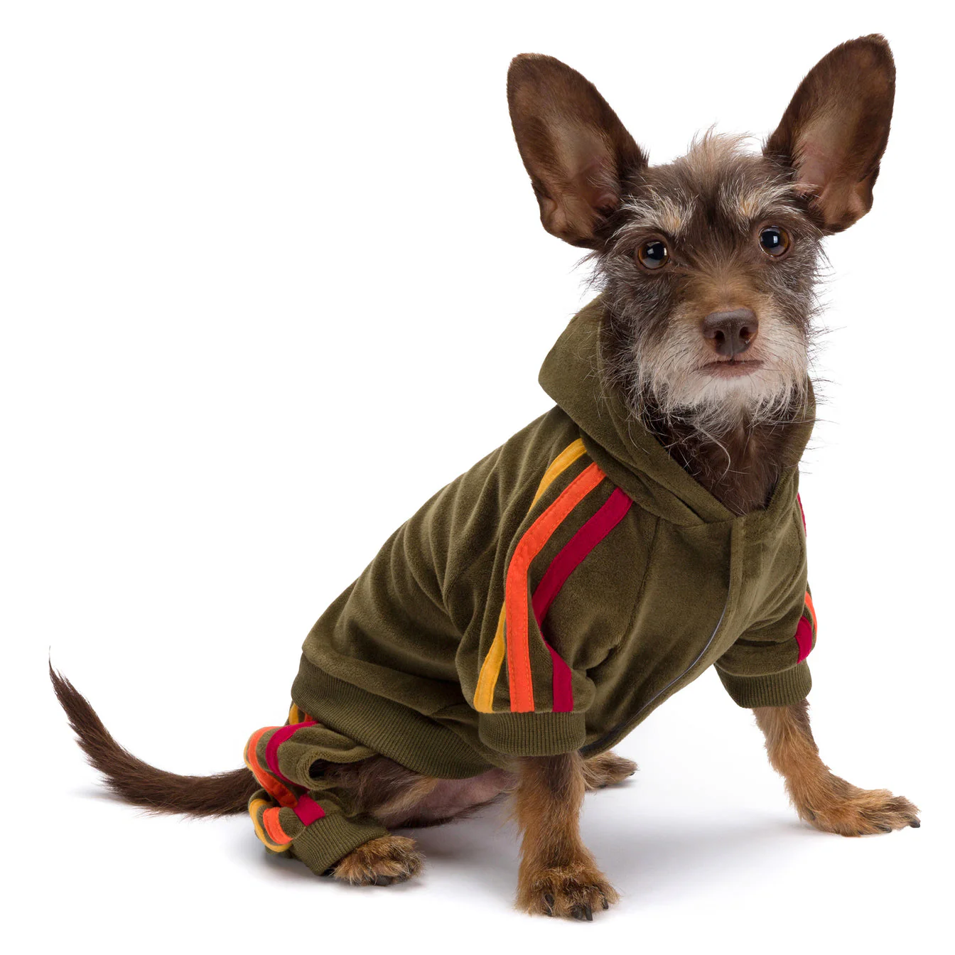 Fabdog Velour Joggers - Image 2