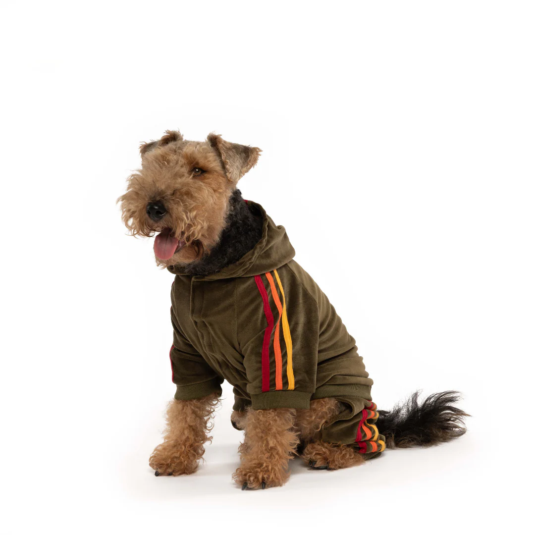 Fabdog Velour Joggers - Image 3