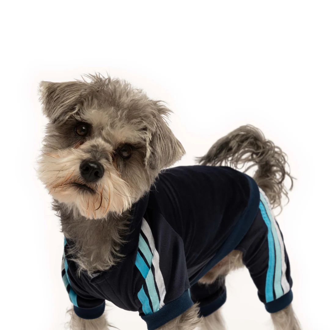 Fabdog Velour Joggers - Image 4