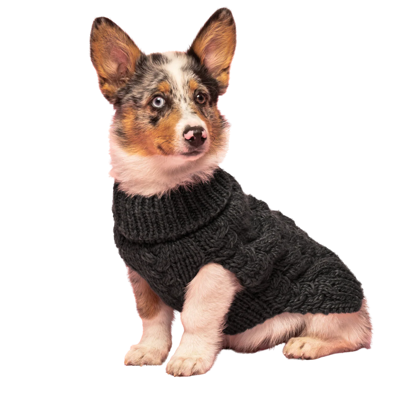 Fabdog Wool Turtleneck - Image 8