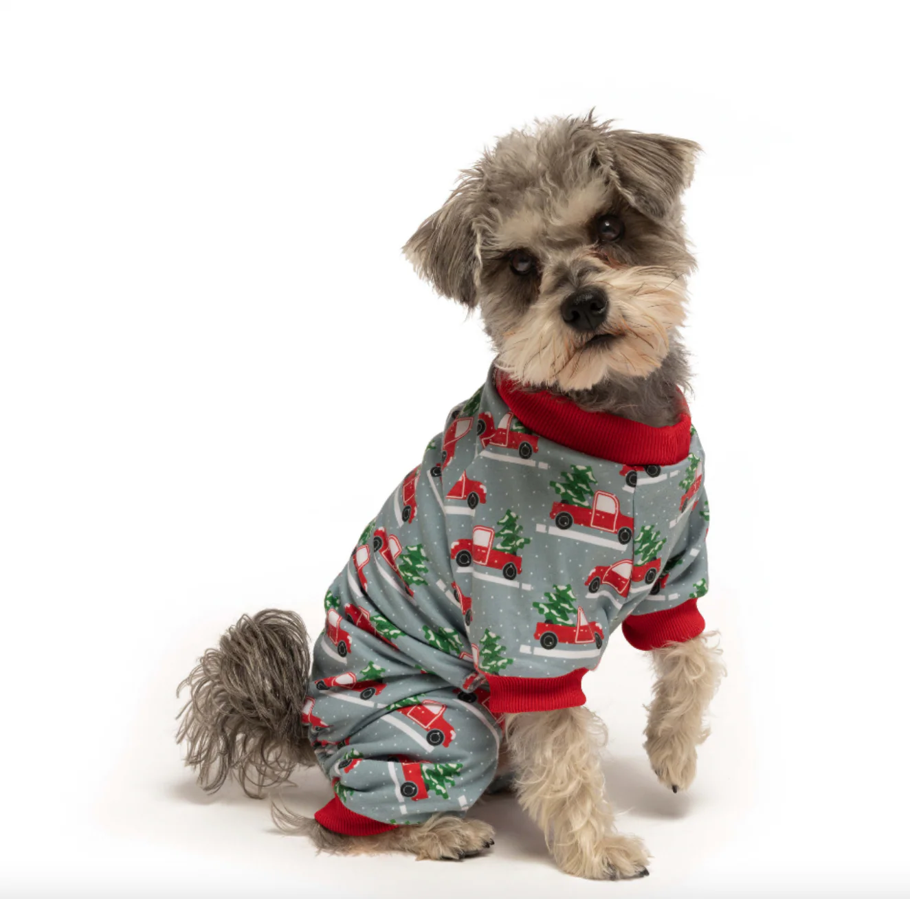 Fabdog Xmas Truck PJ's - Image 3