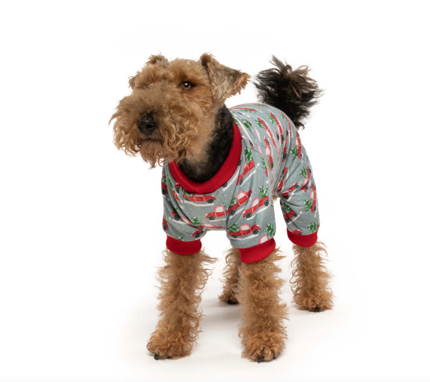 Fabdog Xmas Truck PJ's - Image 4