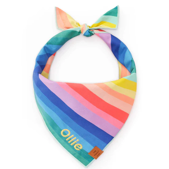 Foggy Dog Bandana - Image 14