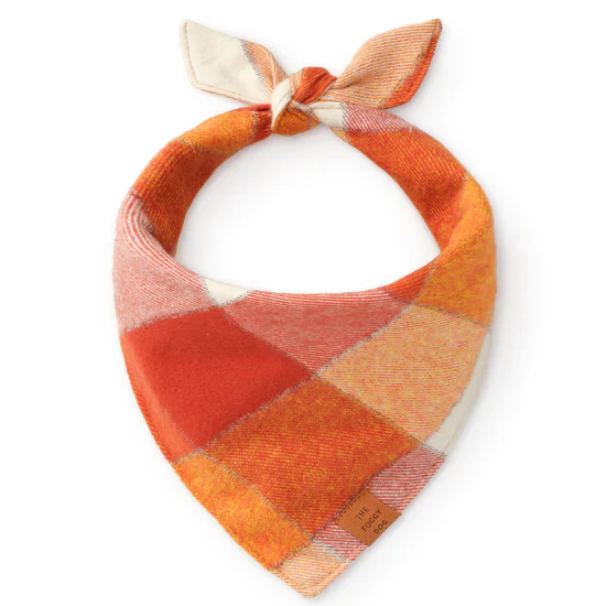 Foggy Dog Bandana - Image 18