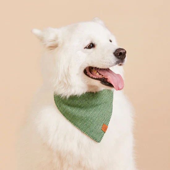 Foggy Dog Bandana - Image 22