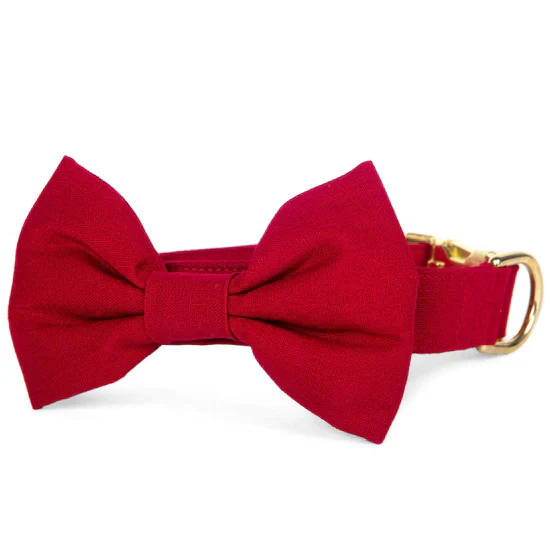 Foggy Dog Bow Tie - Image 17