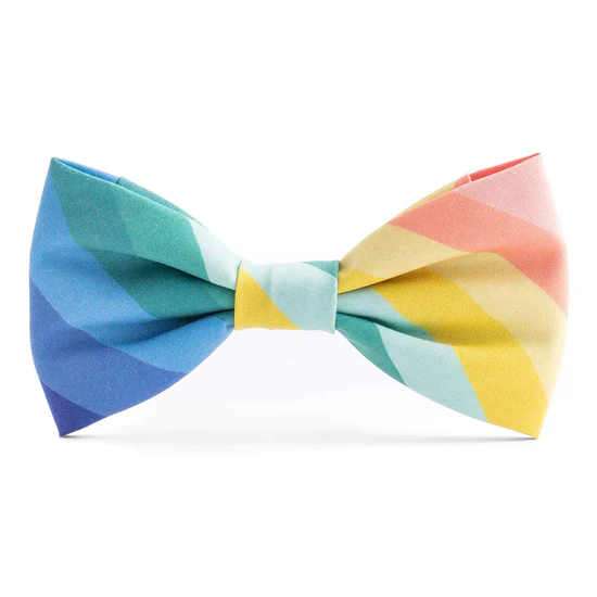 Foggy Dog Bow Tie - Image 19