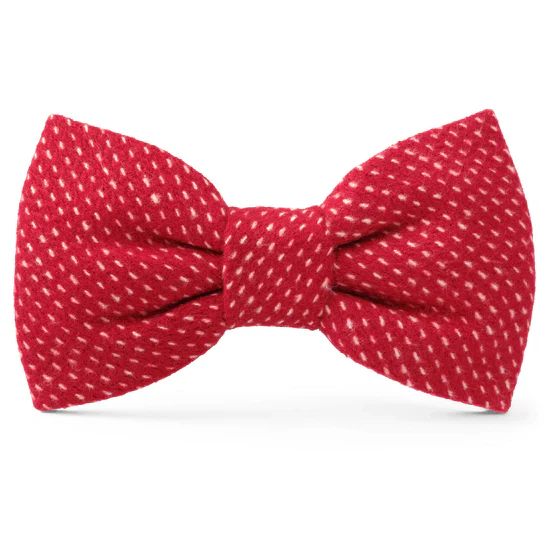 Foggy Dog Bow Tie - Image 9