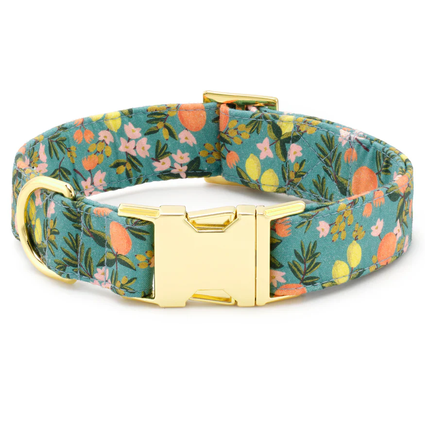 Foggy Dog Citrus Floral Dog Collar - Image 3