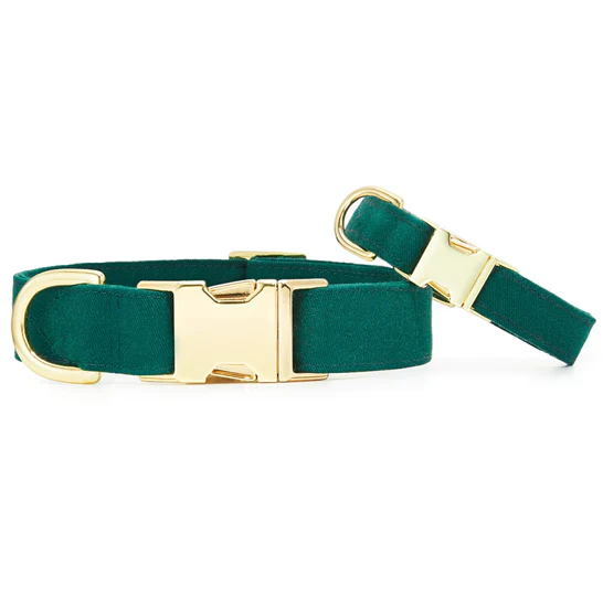 Foggy Dog Evergreen Dog Collar - Image 3