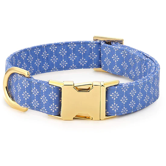 Foggy Dog Eyelet Stripe Dog Collar - Image 4