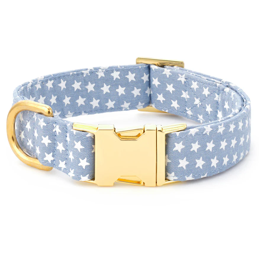 Foggy Dog Liberty Dog Collar - Image 3