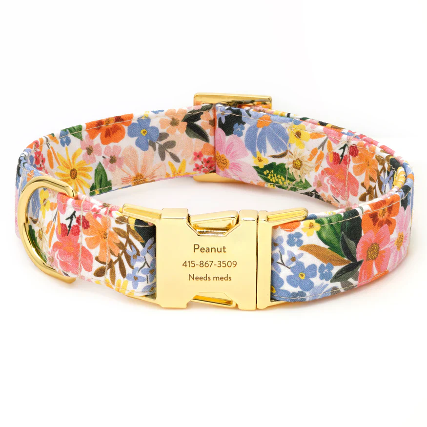 Foggy Dog Marguerite Dog Collar