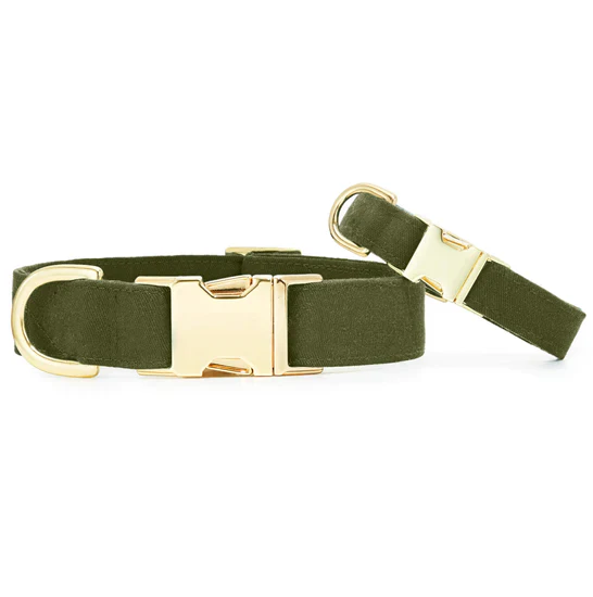 Foggy Dog Olive Dog Collar - Image 3