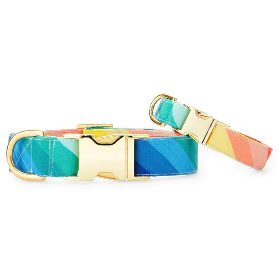 Foggy Dog Over the Rainbow Dog Collar - Image 4