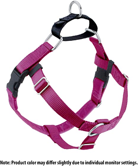 Freedom No Pull Harness - Image 11