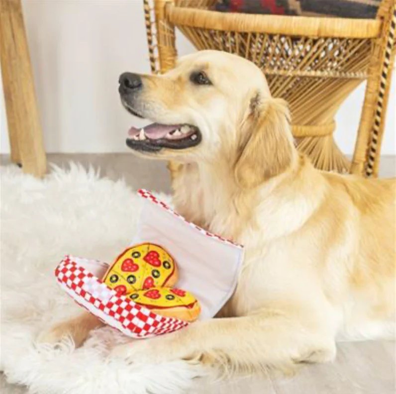 Fringe Pizza My Heart Hide & Seek Plush Dog Toy - Image 3