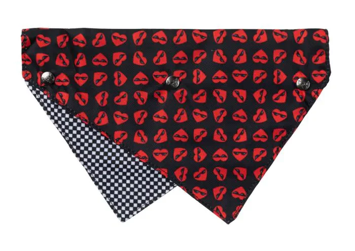 FuzzYard Bandana - Image 14