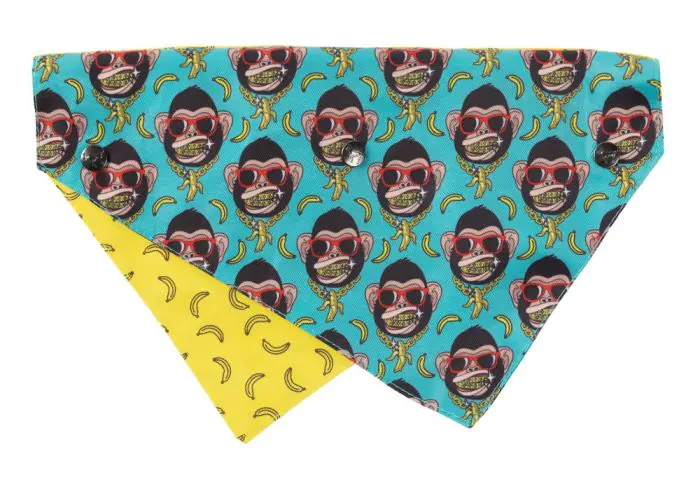 FuzzYard Bandana - Image 2