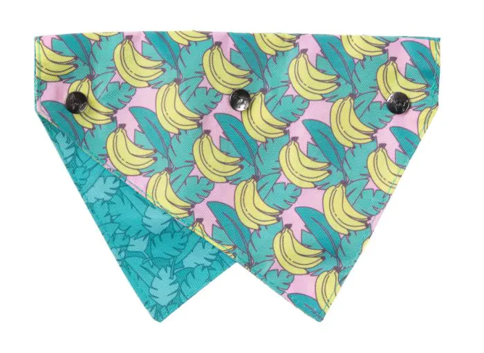 FuzzYard Bandana - Image 8