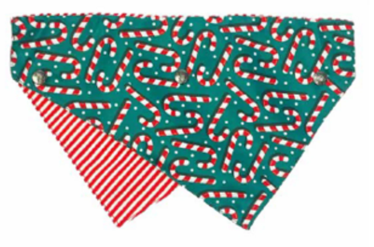 FuzzYard Bandana - Image 5