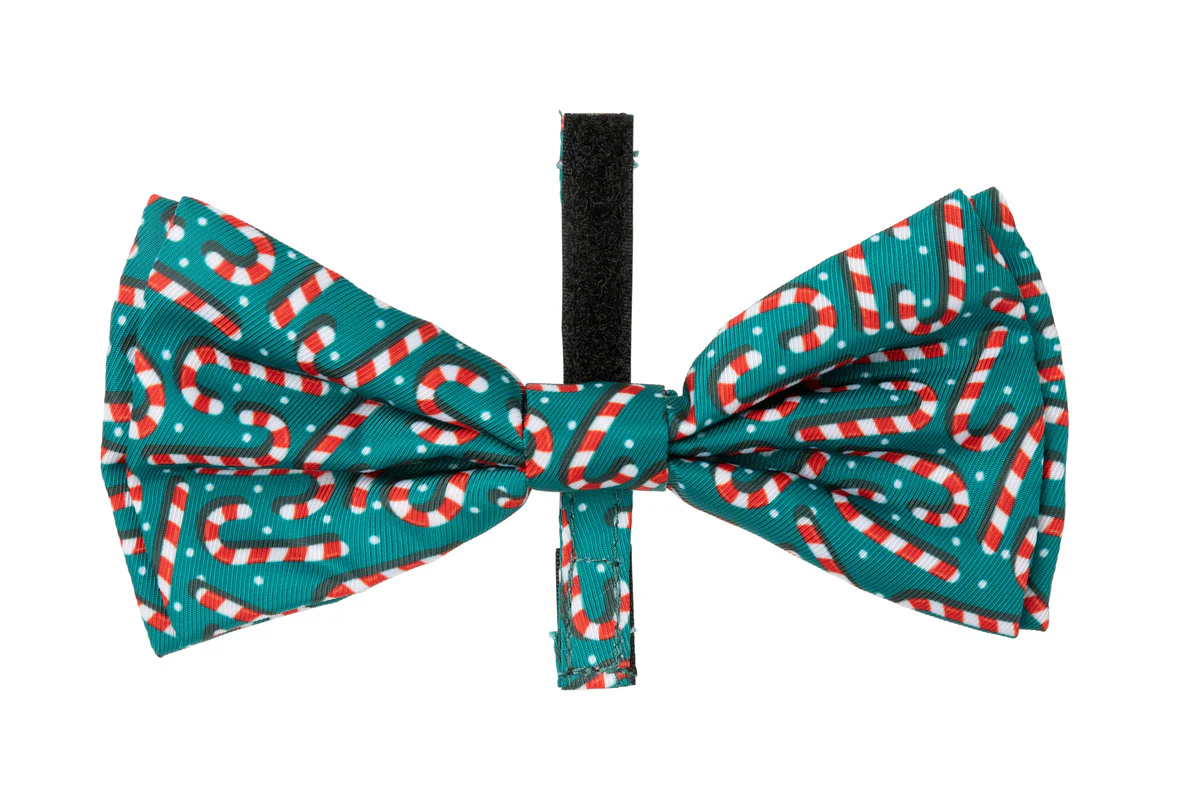 FuzzYard Holiday Bowtie - Image 5