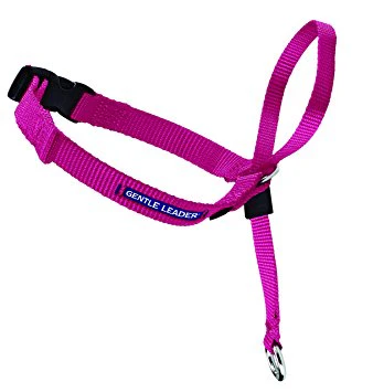 Gentle Leader Headcollar - Image 10