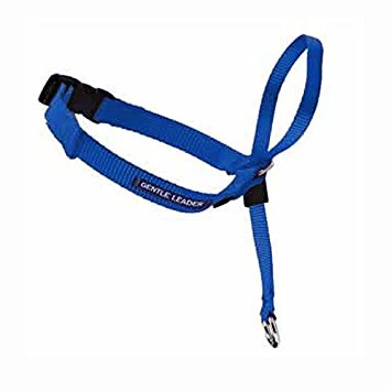 Gentle Leader Headcollar - Image 18