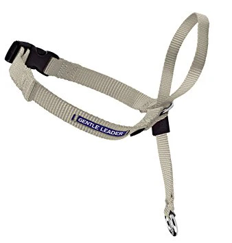 Gentle Leader Headcollar - Image 2